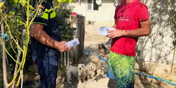 Acțiuni preventive desfășurate de polițiștii Biroului pentru Protecția Animalelor, în municipiu, orașul Însurăței și comuna Viziru.