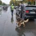 ACȚIUNI PENTRU SIGURANȚA ELEVILOR ȘI PREVENIREA FAPTELOR ANTISOCIALE